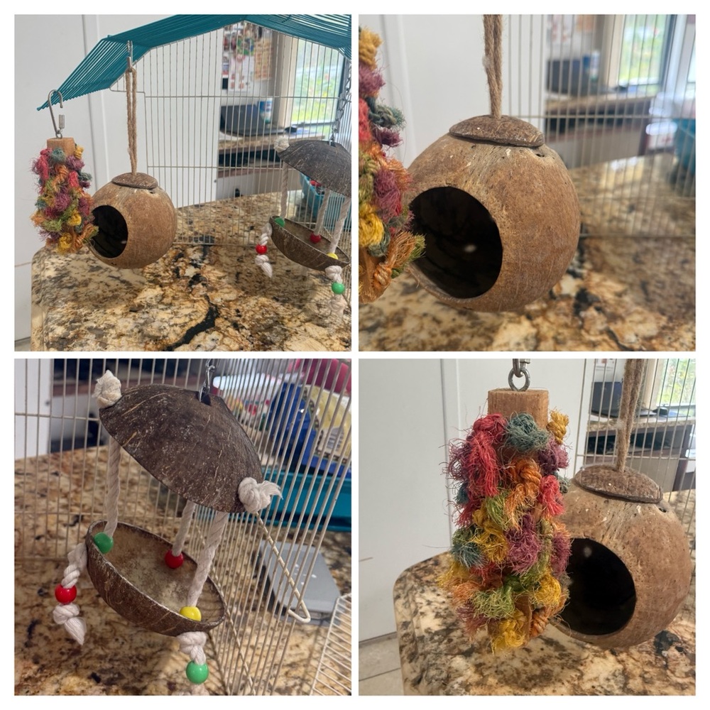 Natural Coconut Bird Toy with Colorful Rope